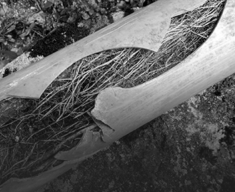 Blocked Drains St Kilda